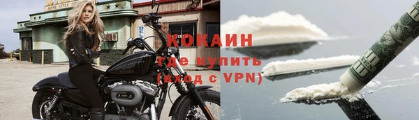 мяу мяу мука Михайлов