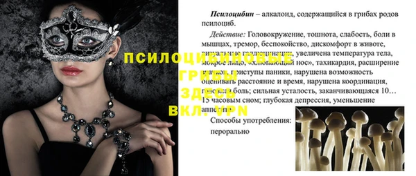 ГАЛЛЮЦИНОГЕННЫЕ ГРИБЫ Михайловск