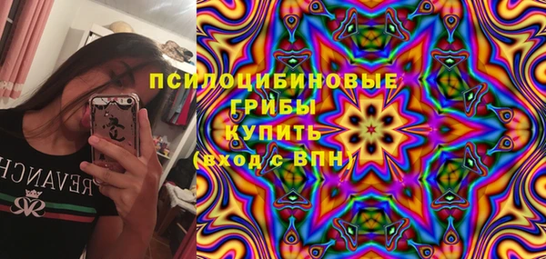 амф Медвежьегорск